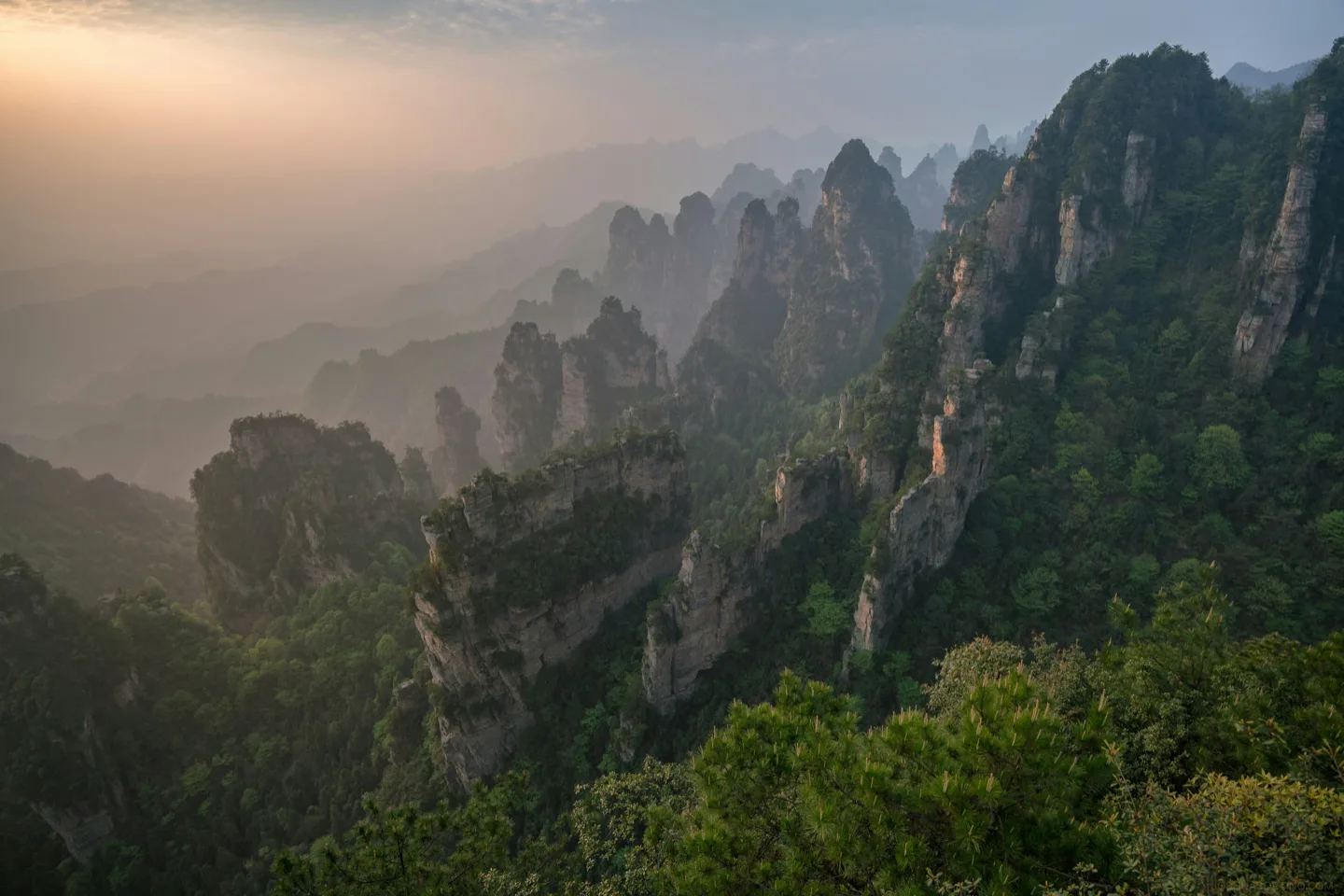 The Avatar Hallelujah sandstone pillars rising through mist in Zhangjiajie