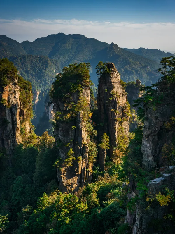 The Avatar sandstone pillars rising through mist in Zhangjiajie